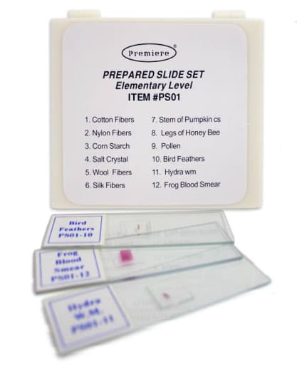 Prepared Slide Set: Elementary Level (12 slides)