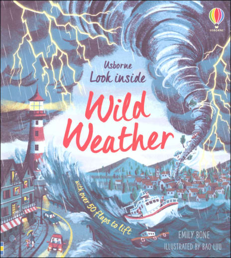 Look Inside Wild Weather (Look Inside Books)