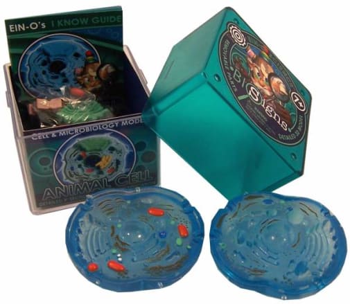 Animal Cell (Cell & Microbiology Model)