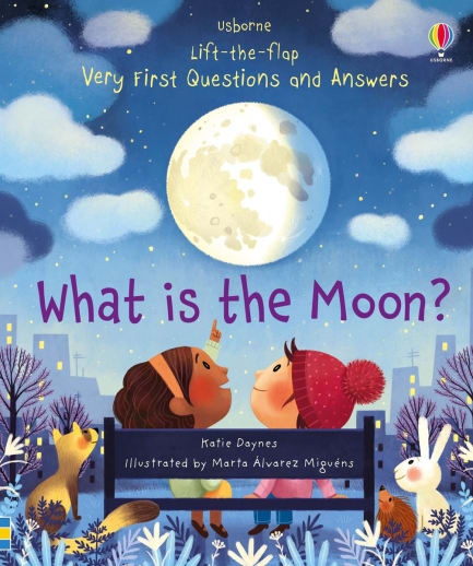 What is the Moon? (Usborne Lift-the-Flap Very First Questions and Answers)