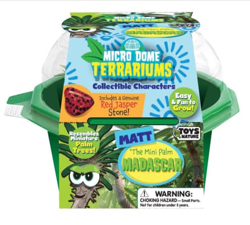 Matt the Madagascar Mini Palm (Character Micro Domes)