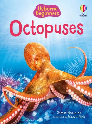 Octopuses (Usborne Beginners)