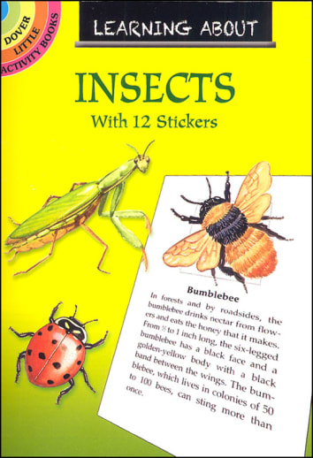 Learning About Insects