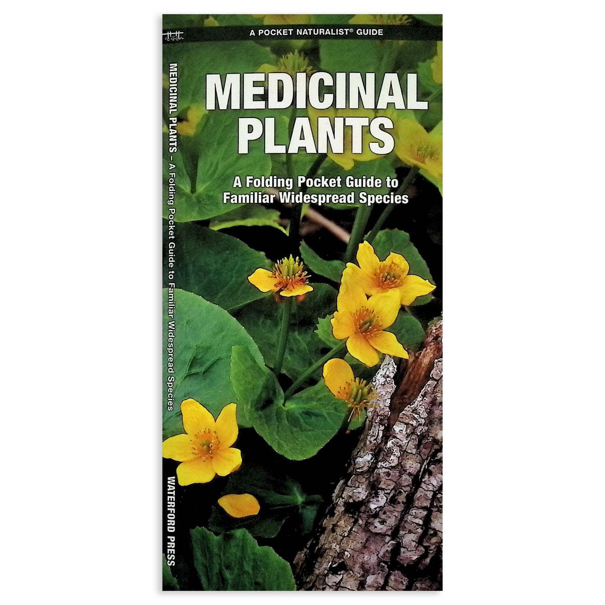 Medicinal Plants Pocket Naturalist Guide