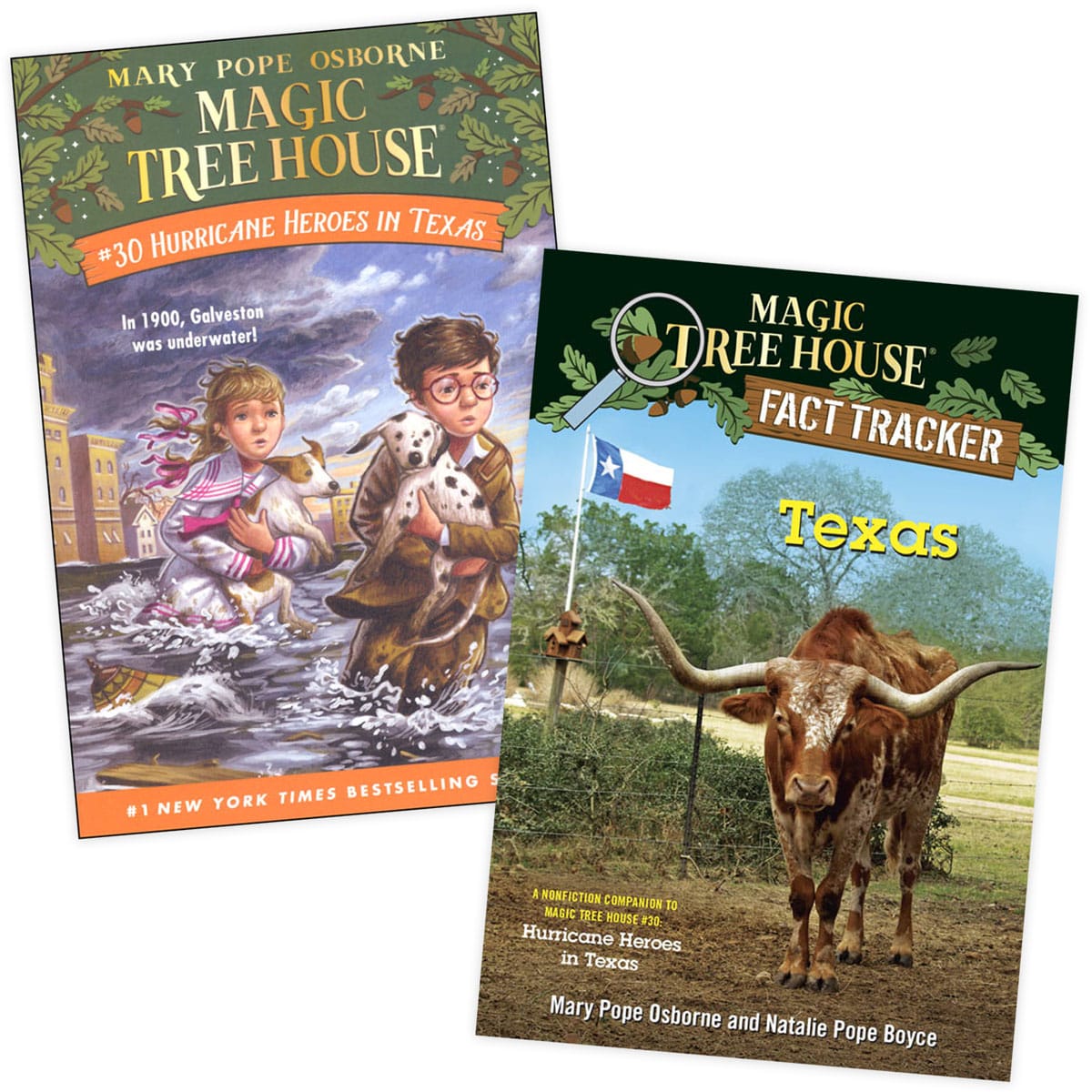 Magic Tree House Hurricane Heroes in Texas with Fact Tracker