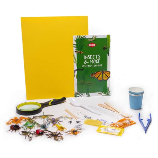 Home Science Adventures Discovering Insects Set