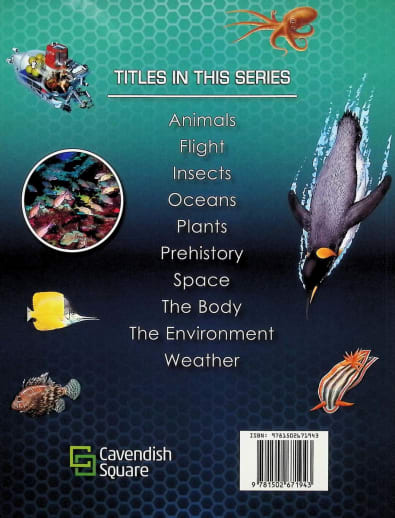 How it Works: Oceans