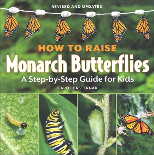 How to Raise Monarch Butterflies