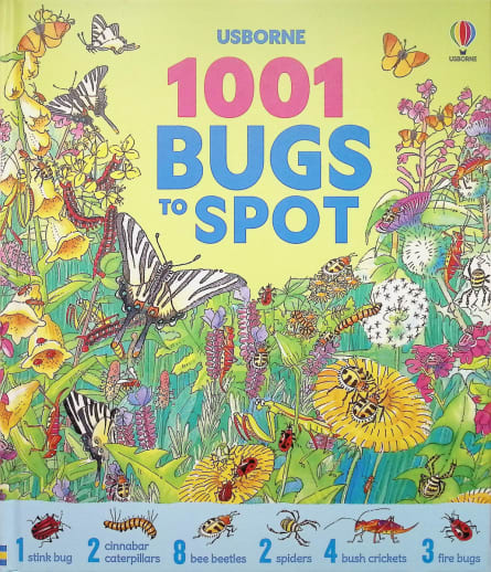 1001 Bugs to Spot