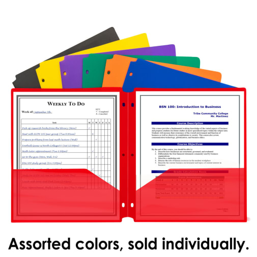 3-hole Punched Poly Portfolio (Assorted Colors)