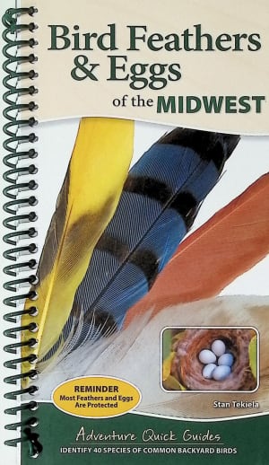Bird Feathers & Eggs of the Midwest