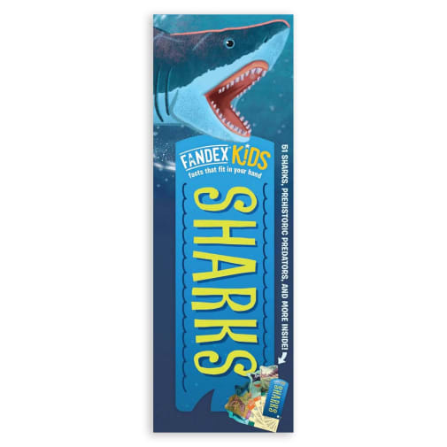 Fandex Kids Sharks