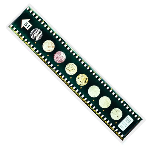 Microslide, Animal Tissues - B Set