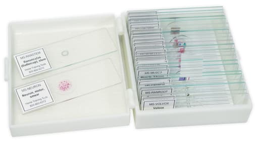 Biology Microscope Slide Set