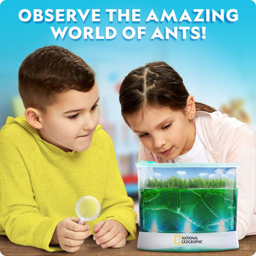 Deluxe Light-Up Ant Habitat Kit (National Geographic)