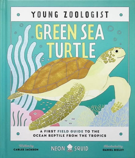 Green Sea Turtle (Young Zoologist)