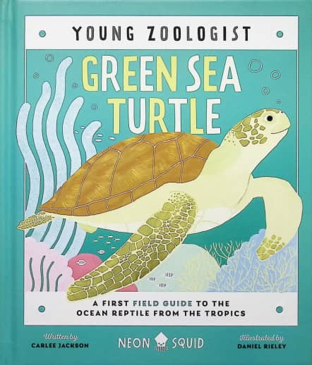 Green Sea Turtle (Young Zoologist)