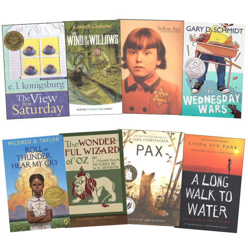 Lightning Literature Grade 6 Literature Only