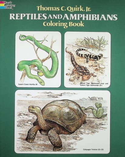 Reptiles and Amphibians Coloring Book