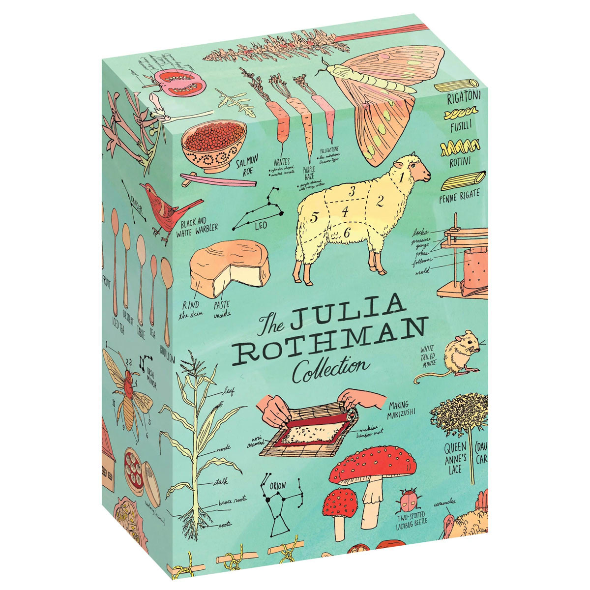 The Julia Rothman Collection: Farm Anatomy, Nature Anatomy, and Food Anatomy