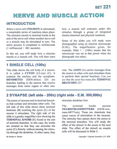 Nerve and Muscle Action Microslide Lesson Set