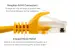 Cat5e Ethernet Patch Cable, Snagless, UTP, 50 ft, Yellow