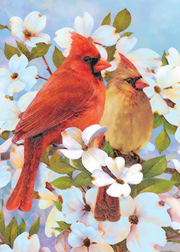 Mini Colour Pencil By Numbers - Cardinal Pair