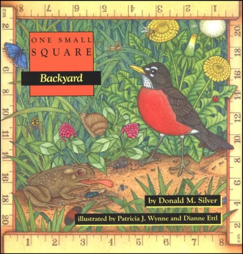 One Small Square: Backyard