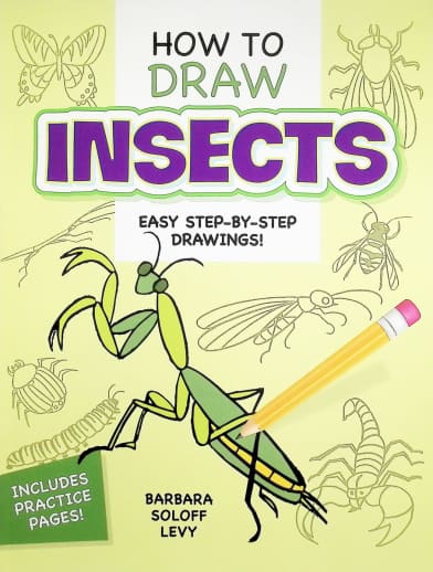 How to Draw Insects