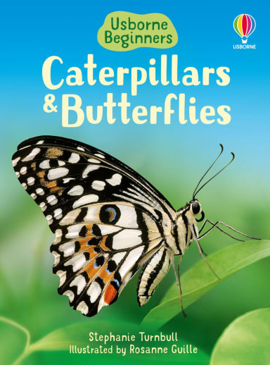 Caterpillars and Butterflies (Usborne Beginners)