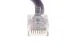 20ft Purple Non-Booted CAT6 Ethernet Patch Cable