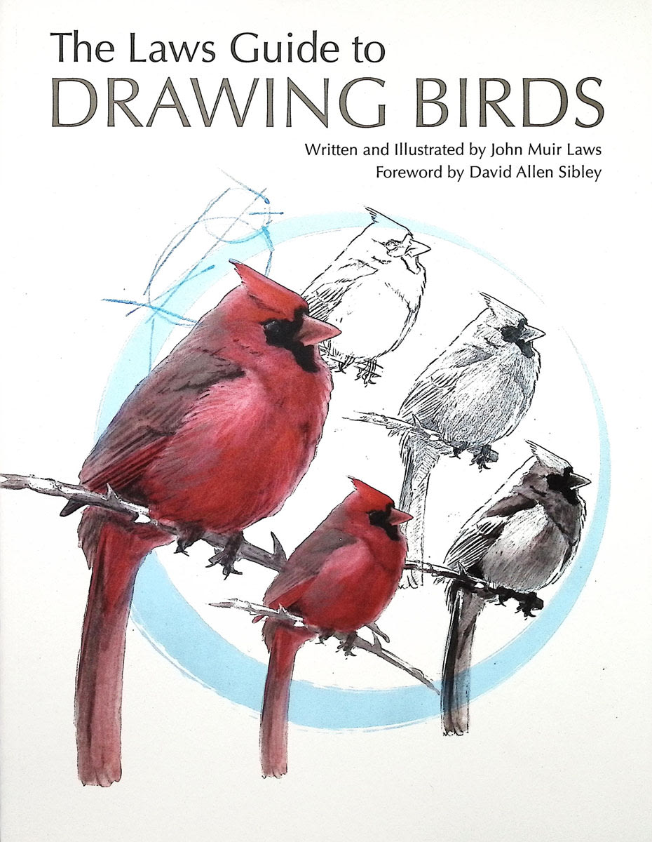The Laws Guide to Drawing Birds