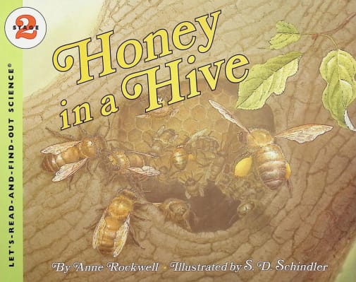 Honey in a Hive (LRAFOS L2)
