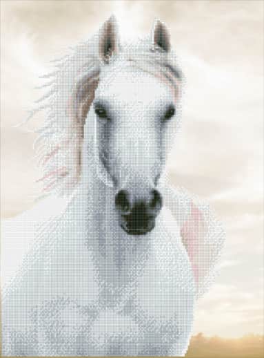 Imperial Stallion Diamond Dotz (Intermediate)