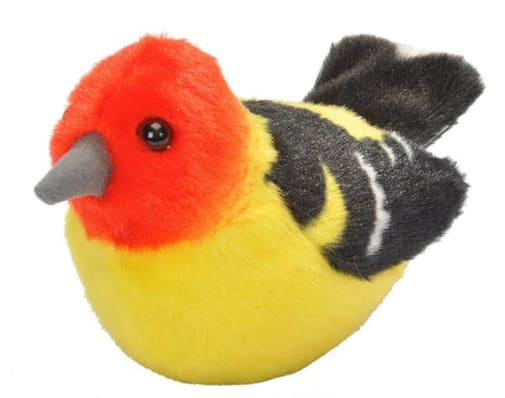 Audubon Bird: Western Tanager With Real Bird Call
