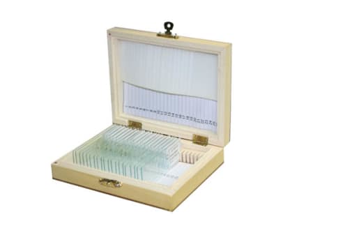 Common Interest Prepared Slide Set (Set of 20)