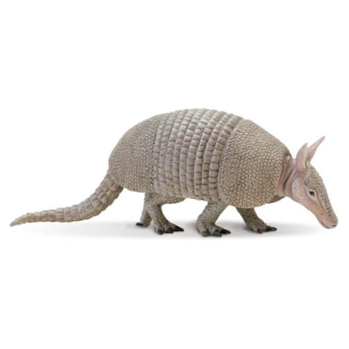 Armadillo (Incredible Creatures)