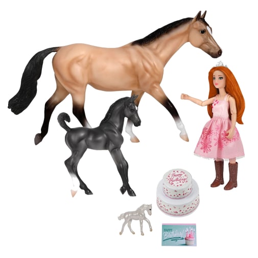 Birthday at the Barn (Breyer Freedom Series)