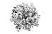 Kendall Howard Set of 100 Standard 10-32 Cage Nuts
