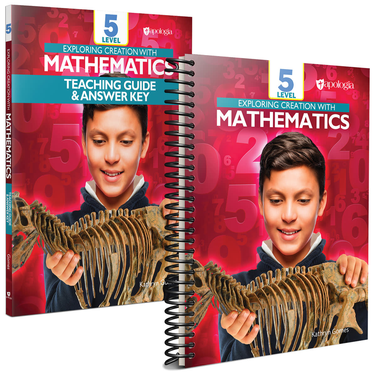 Exploring Creation with Mathematics Level 5 Set