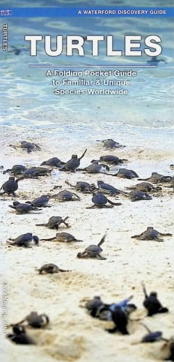 Turtles Folding Pocket Guide