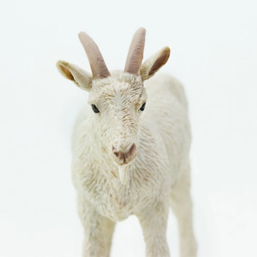 Nanny Goat Riddim 6枚セット Amazon.com: Safari Ltd Safari Farm Pygmy Nanny Goat : Toys & Games
