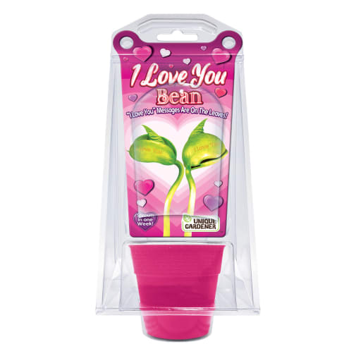 I Love You Bean