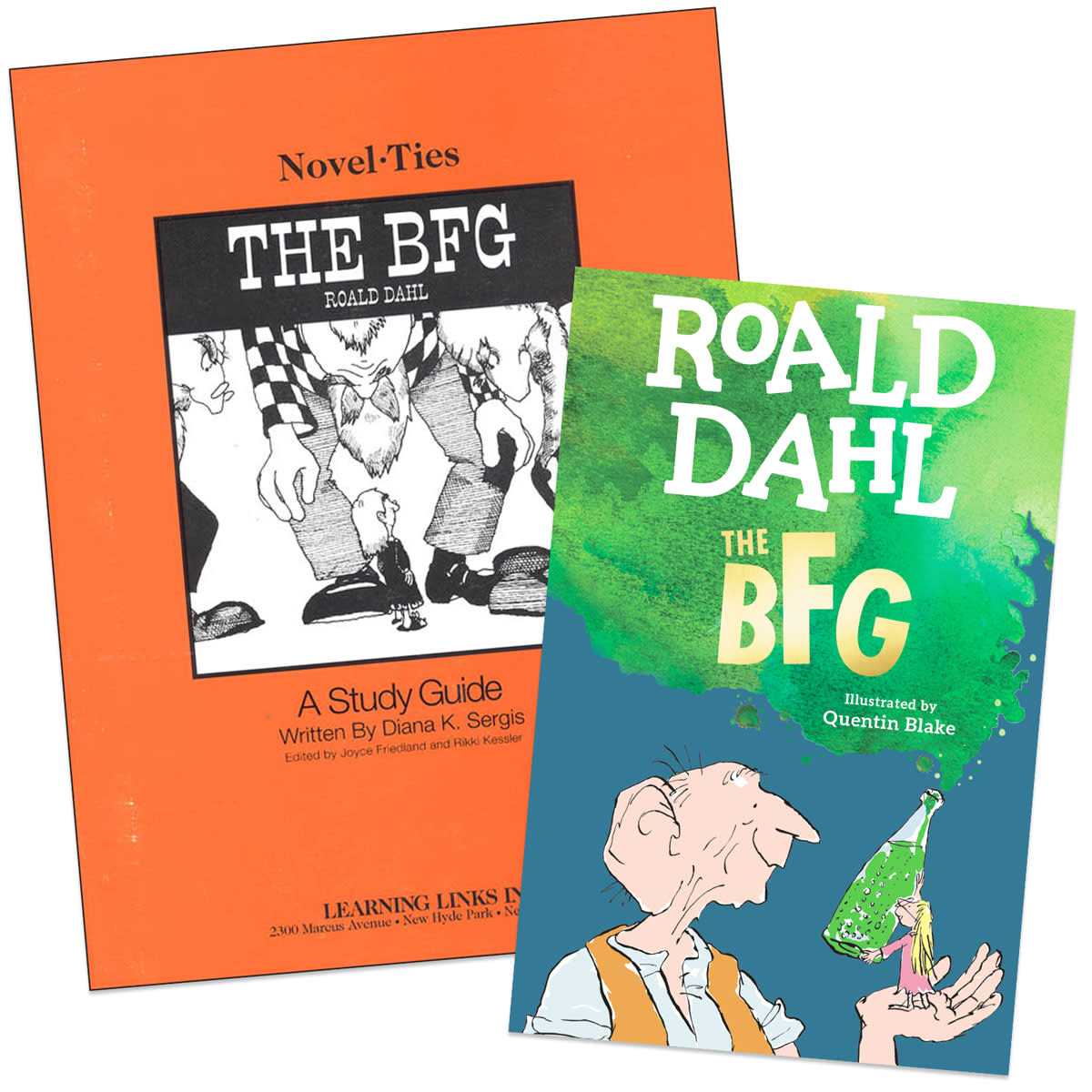 BFG Novel-Ties Study Guide & Book Set