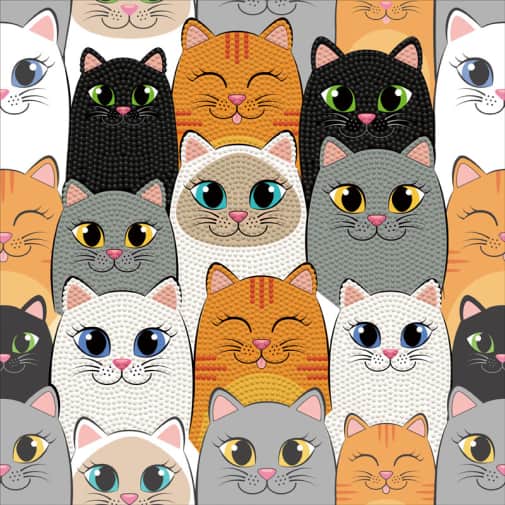 Dotz Box - Cat Clan (large)