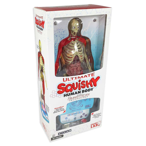 Ultimate Squishy Human Body Kit (SmartLab)