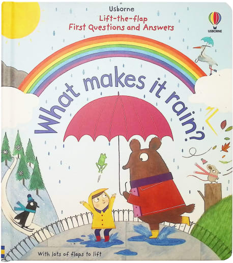 What Makes it Rain? (Usborne Lift-the-Flap First Questions and Answers)