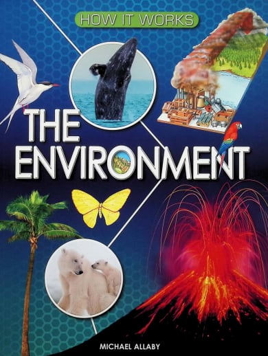 How it Works: Environment