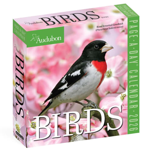 Audubon Birds 2026 Page-A-Day Calendar