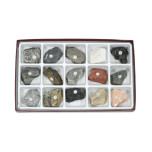 Introductory Rock Collection